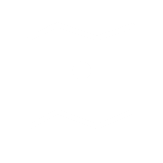 字段映射